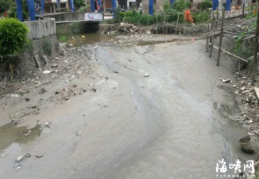 長樂東湖“變身”:曾經半湖浮蓮 現在水清伴花香