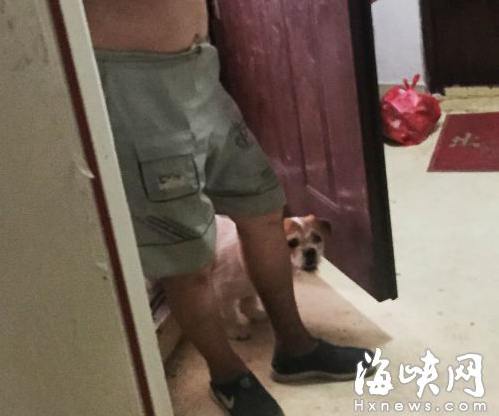 依伯將流浪狗養小區過道　電梯一開門就沖出狂吠