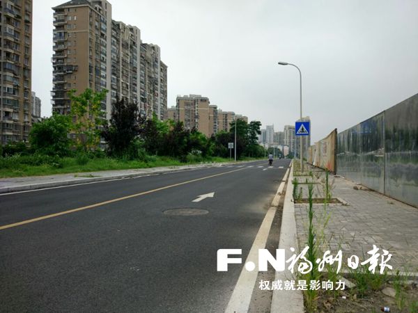 港頭外路210個樹池只栽1棵樹 市園林局：8月施工