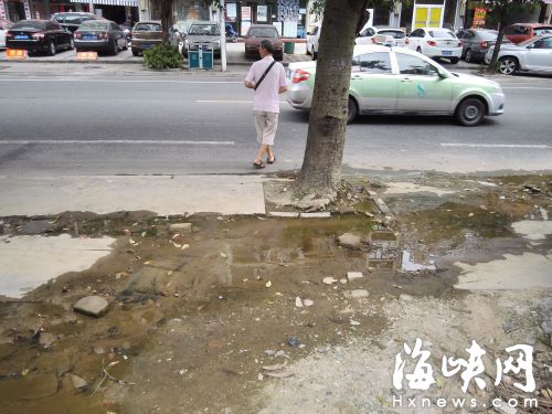 梅亭路綠地滲水淹人行道　行人被迫繞道機動車道