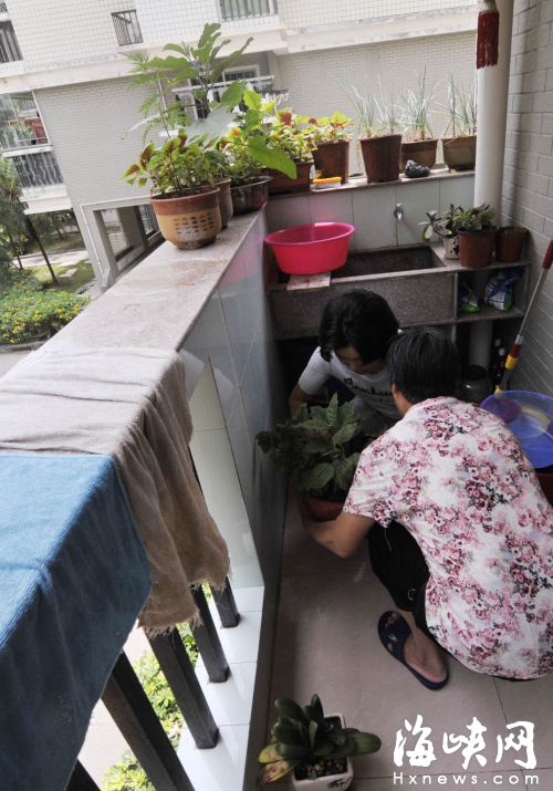 友蘭苑小區擺數百無防護花盆　部分業主拒不搬離