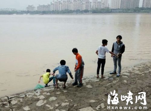 幾個小孩在閩江邊玩水（程劍光供圖） 