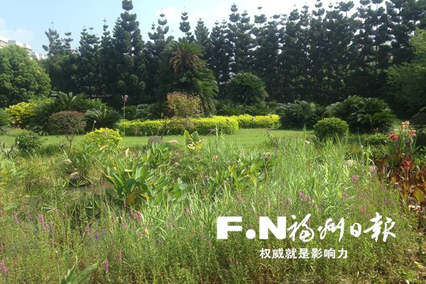 福州一批“海綿體”相繼建成　海綿城市建設全面開展