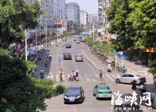 西洪路東段，榕樹種在水泥箱里長不大，這段路酷熱難耐
