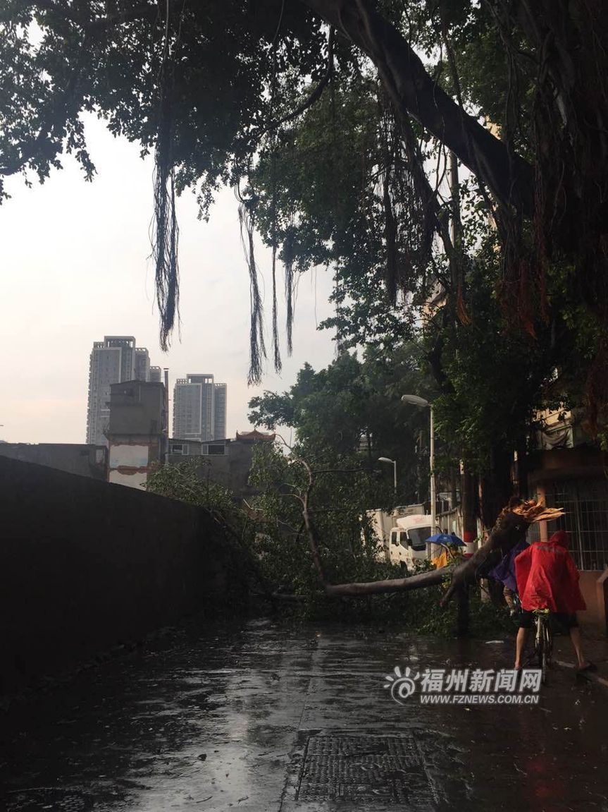 福州:暴雨襲城