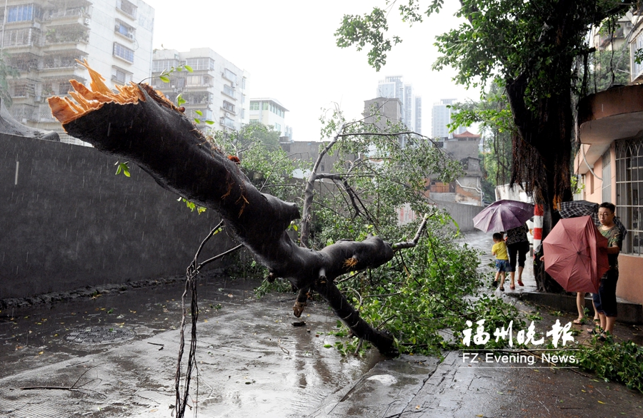 昨日榕城氣溫38.7℃創新高 11級狂風挾暴雨降溫