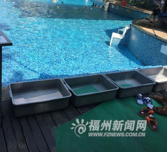 小區游泳池“毛病多” 承包者:經營壓力大陷困境