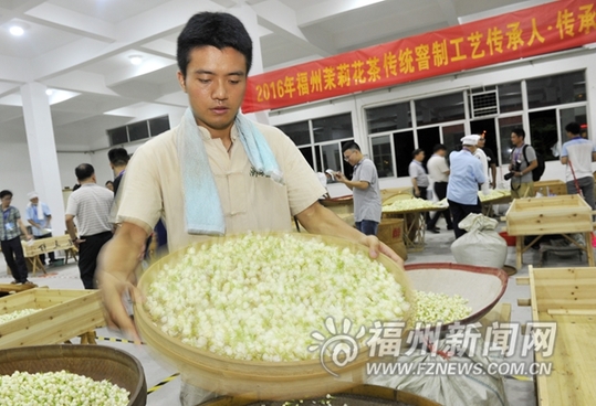 31位茉莉花茶制茶師現場比拼　參評傳承人、傳承大師