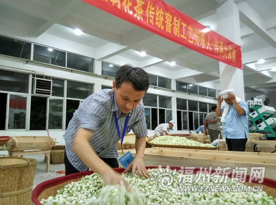 31位茉莉花茶制茶師現(xiàn)場比拼　參評傳承人、傳承大師