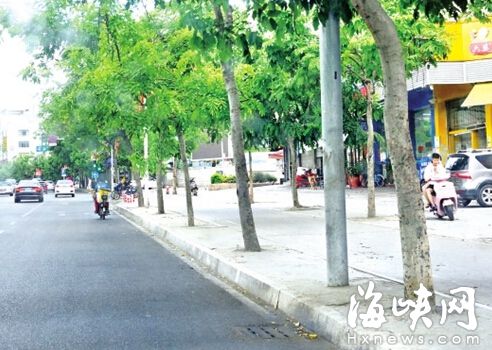 首山路整排樹的樹池都被水泥封了