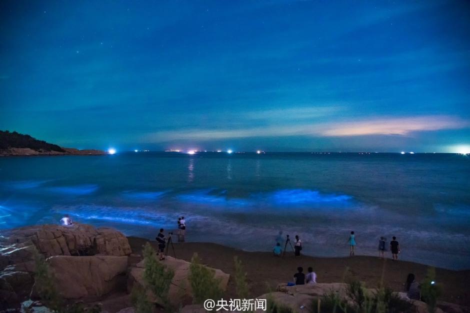長樂象鼻澳海灘連續4晚現絕美“藍海” 宛如仙境