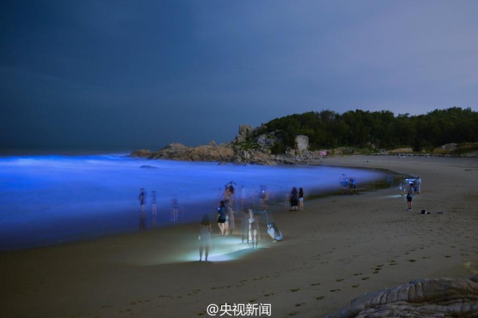 長樂象鼻澳海灘連續4晚現絕美“藍海” 宛如仙境