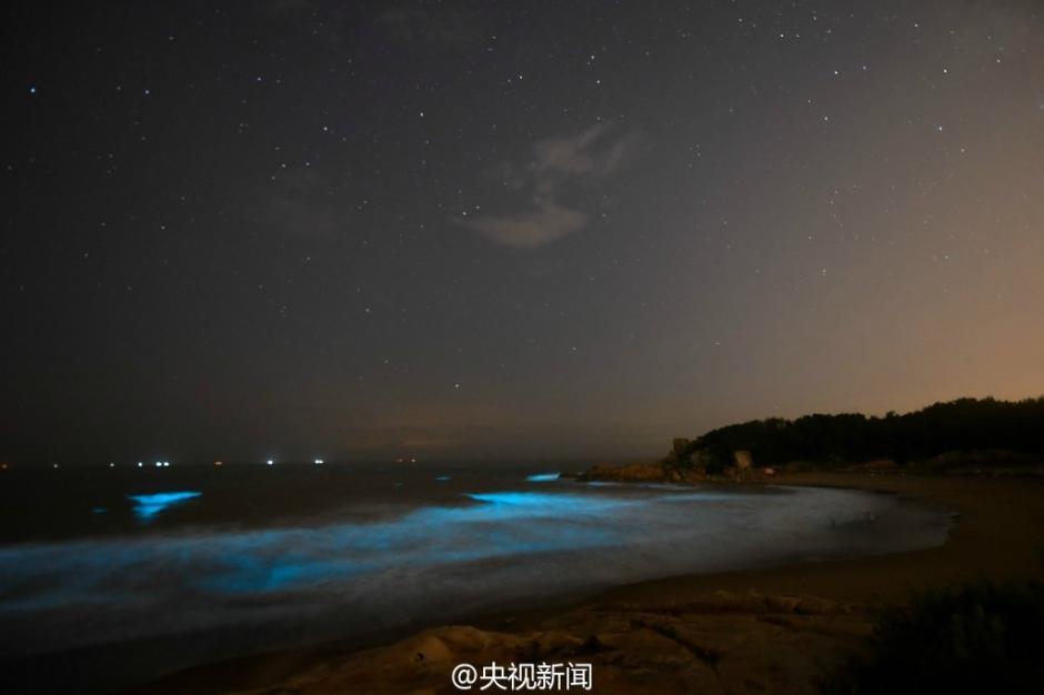 長樂象鼻澳海灘連續4晚現絕美“藍海” 宛如仙境