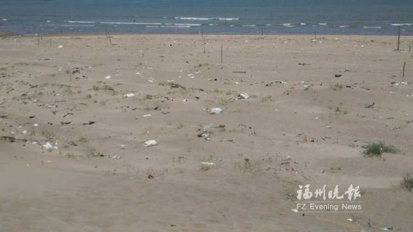 觀賞長樂“藍眼淚”游客數量驟增　海灘上留垃圾