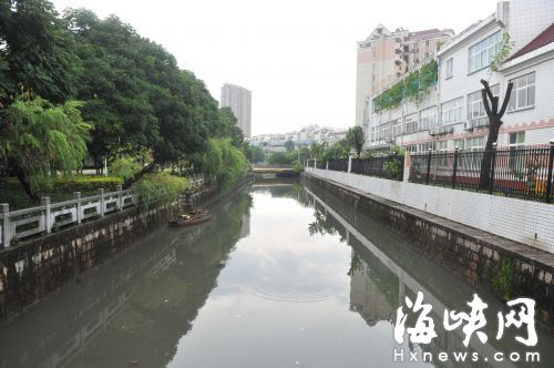 幼兒園一側(cè)的樹被砍后和對(duì)岸形成鮮明對(duì)比