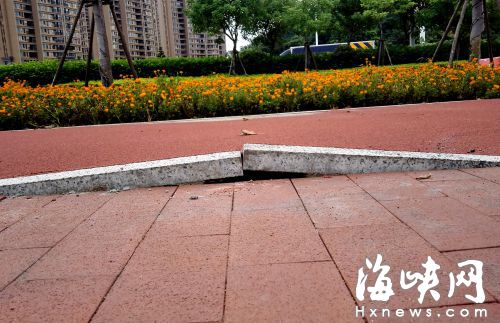 農大沙灘外綠道開裂