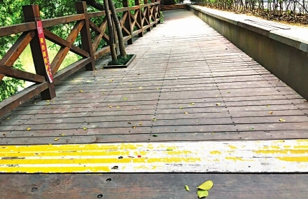 白馬河公園木棧道油漆脫落，雨天容易滑倒人