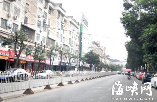 一排被剃成了“光頭”的行道樹