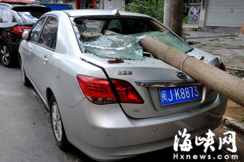 水泥桿砸中比亞迪轎車后備廂