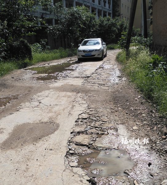 西河路路面坑洼不平路燈不亮　周邊居民出行不便