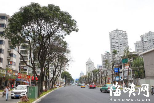 南臺大道在路中設置了綠化分車帶
