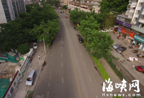 現有兩排行道樹將平移，作為綠化側分帶；此外，還將增設兩排行道樹 