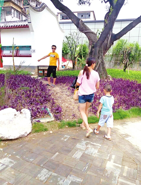 綠地被游客踩出一條路（感謝網友匆匆供圖，獎五十元）