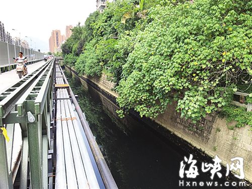  ▲連日來，金山橫江渡變成墨水河 