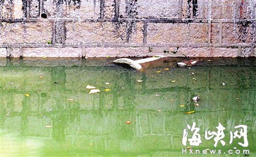  水位下降，一些排污口仍被掩蓋 