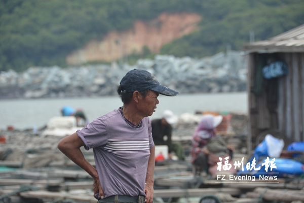 福清東瀚養(yǎng)殖魚一夜大量死亡　漁民損失數(shù)百萬元