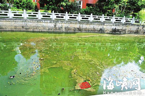 橫江渡河面有不少漂浮物，內(nèi)河保潔員稱，橋下暗藏排污管 