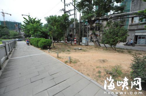 綠道邊的大片綠地，被車輛碾禿，露出黃泥地