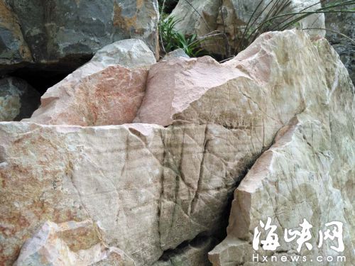 南公園一些“太湖石”切面平整，與普通石頭并無太大差異