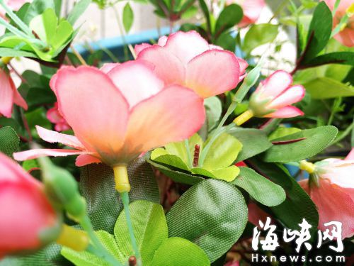 花箱里的假花材質是絹布和塑料
