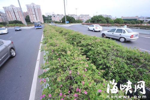少年甩了出去從，橋面的縫隙間墜下