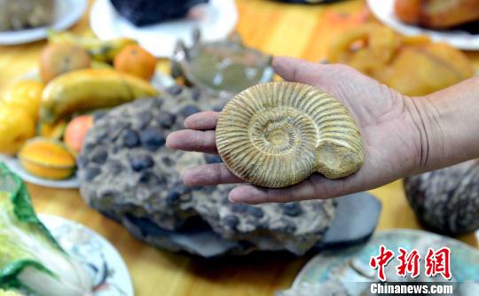 福州石頭宴“滿漢全席”專題展，以假亂真。　劉可耕　攝
