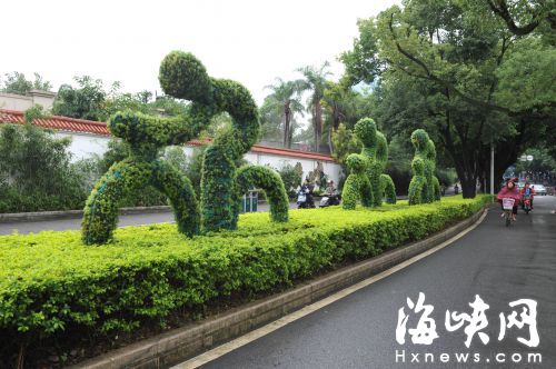 福州市區(qū)主要道路 將增5140㎡時花綠化帶