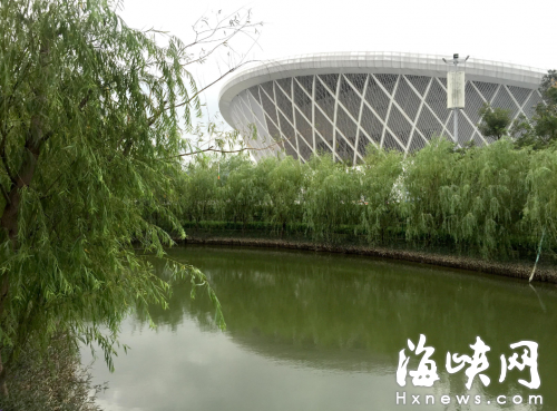 楊柳在清澈河水中映出美麗的倒影